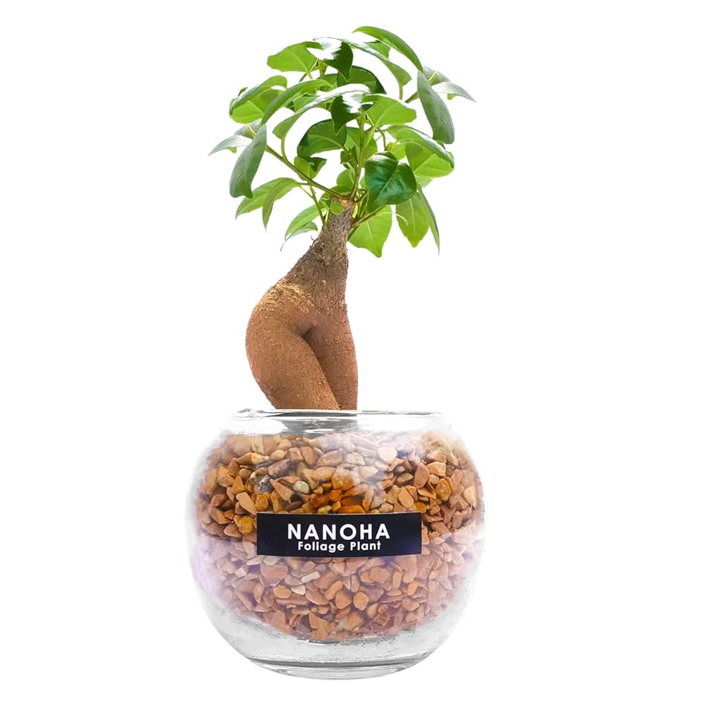 ハンドメイド ガラスボトル ミニチュアの家と植物　フィリピン　セブ島購入品 ハンドメイド ガラスボトル ミニチュアの家と植物 フィリピン